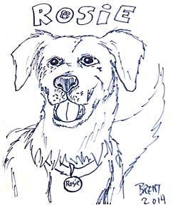 Pet Caricature Artist Brent